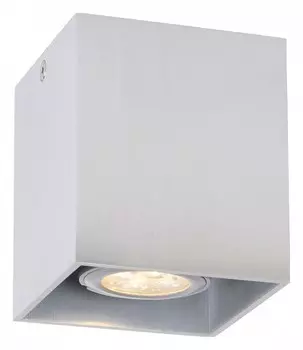 Потолочный светильник Lucide Bodi 09101/01/12