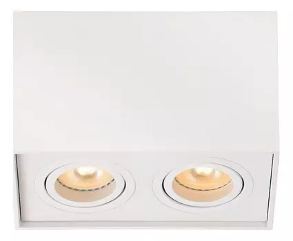 Потолочный светильник Lucide Tube 22953/02/31