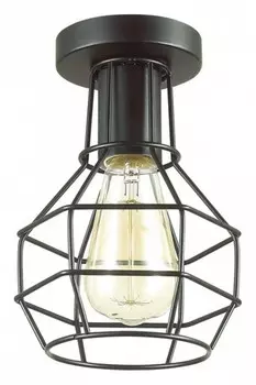 Потолочный светильник Lumion Lofti Harald 3637/1C