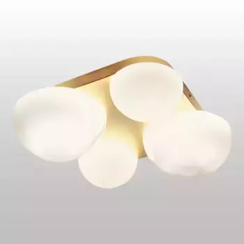 Потолочный светильник Lussole Moore LSP-8990