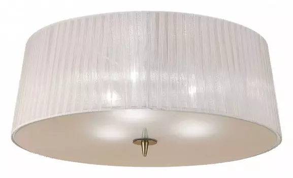 Потолочный светильник Mantra Loewe 4740