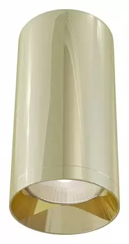 Потолочный светильник Maytoni Alfa C010CL-01G