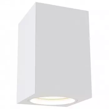 Потолочный светильник Maytoni Alfa C011CL-01W