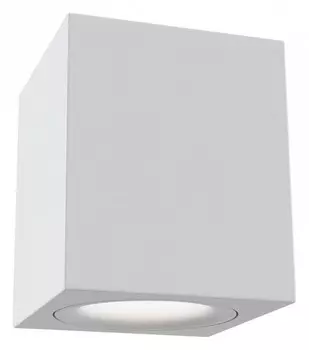 Потолочный светильник Maytoni Alfa C013CL-01W