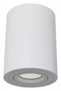 Потолочный светильник Maytoni Alfa C016CL-01W