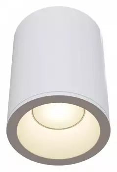 Потолочный светильник Maytoni Antares C029CL-01W