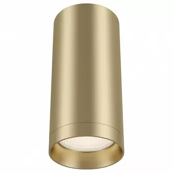 Потолочный светильник Maytoni Focus C010CL-01MG