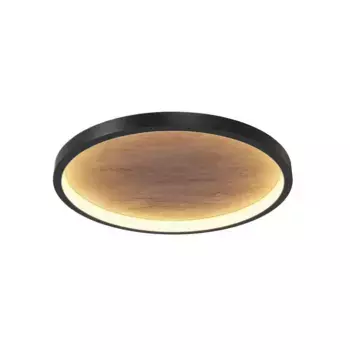 Потолочный светильник Maytoni MOD311CL-L40B3K