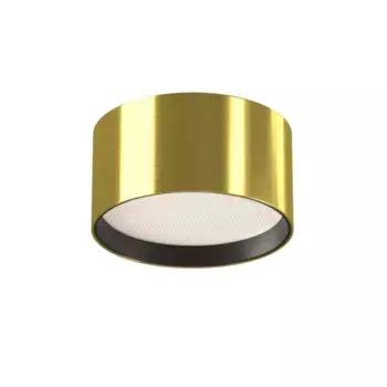 Потолочный светильник Maytoni Technical C091CL-12W4K-BS