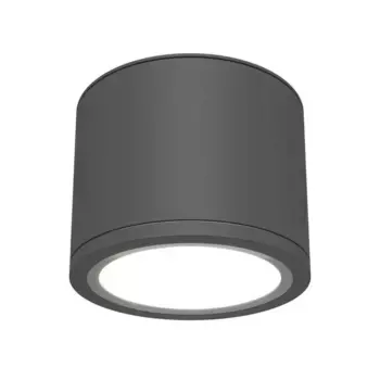 Потолочный светильник Maytoni Technical Rendo C095CL-GX53-GR