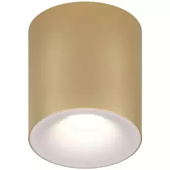 Потолочный светильник Maytoni Technical Spark C094-GU10-MG