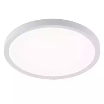 Потолочный светильник Natali Kovaltseva Plain LED LAMPS 81113/2C