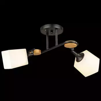 Потолочный светильник Reluce 04217-0.3-02 BK