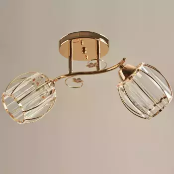 Потолочный светильник Reluce 04628-0.3-02 FG