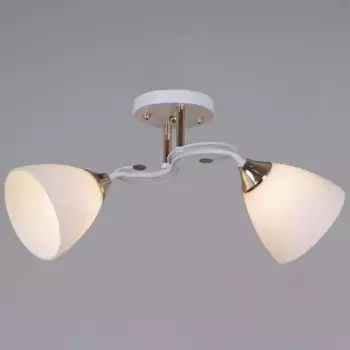 Потолочный светильник Reluce 06104-0.3-02 WH+FG