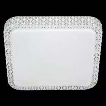 Потолочный светильник Reluce 07197-9.2-48WM