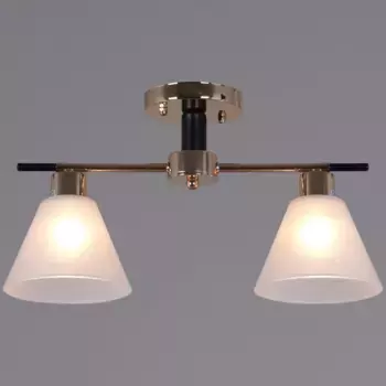 Потолочный светильник Reluce 09112-3.3-02 FG+BK