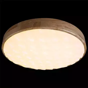 Потолочный светильник Reluce 60530-0.2-60W