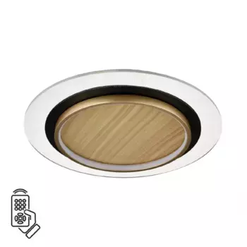 Потолочный светильник Sonex Sunny 7731/80L