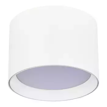 Потолочный светильник ST Luce ST163.502.01