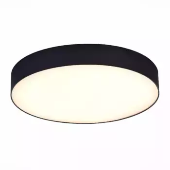 Потолочный светильник ST Luce ST606.432.36