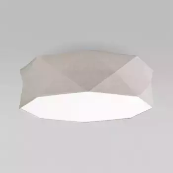 Потолочный светильник TK Lighting 6195 Kantoor Nature