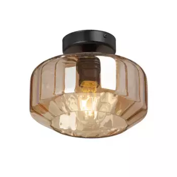 Потолочный светильник Vitaluce V2559-1/1PL