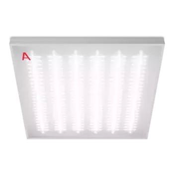 Потолочный светильник Wolta ДВО11-54-042-6К