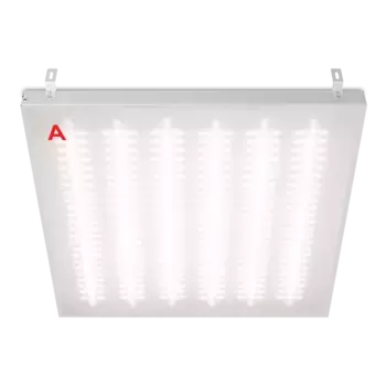 Потолочный светильник Wolta ДВО12-54-042-4К