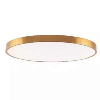 Потолочный светильник Zortes Tortty ZRS.02566.120