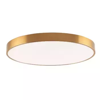 Потолочный светильник Zortes Tortty ZRS.02566.96