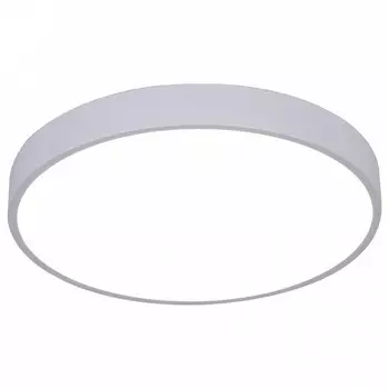 Потолочный светодиодный светильник Arte Lamp Arena A2661PL-1WH