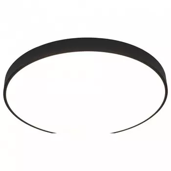 Потолочный светодиодный светильник Arte Lamp Arena A2673PL-1BK