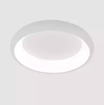 Потолочный светодиодный светильник Arte Lamp Menkib A2694PL-45WH