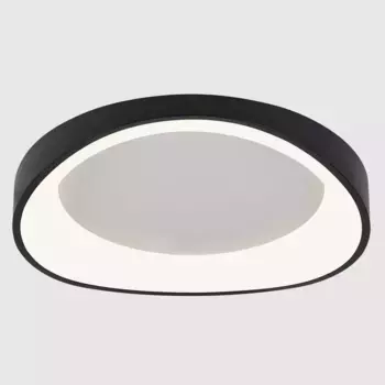Потолочный светодиодный светильник Arte Lamp Sualocin A2698PL-60BK