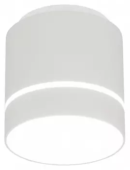 Потолочный светодиодный светильник Citilux Борн CL745020N