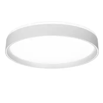 Потолочный светодиодный светильник Citilux Boss CL751350G