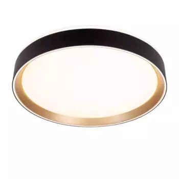 Потолочный светодиодный светильник Citilux Boss CL751351G