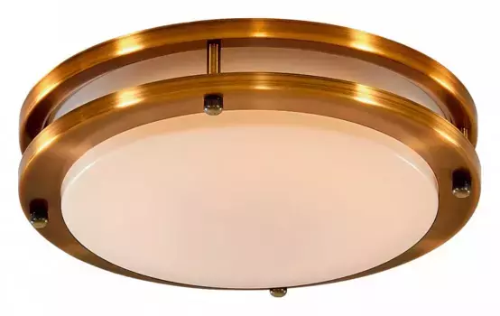 Потолочный светодиодный светильник Citilux Бостон CL709203N