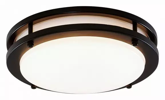 Потолочный светодиодный светильник Citilux Бостон CL709205N