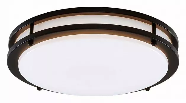 Потолочный светодиодный светильник Citilux Бостон CL709325N