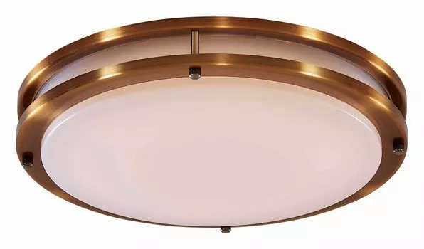 Потолочный светодиодный светильник Citilux Бостон CL709503N