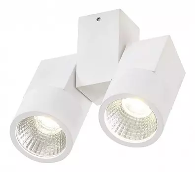 Потолочный светодиодный светильник Citilux Дубль CL556100