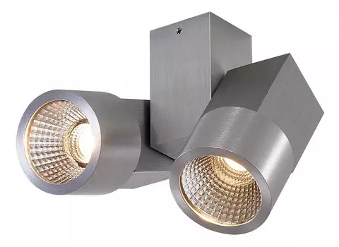 Потолочный светодиодный светильник Citilux Дубль CL556101