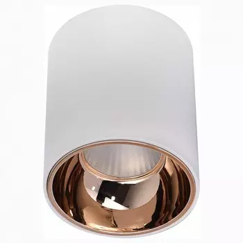 Потолочный светодиодный светильник Citilux Старк CL7440103