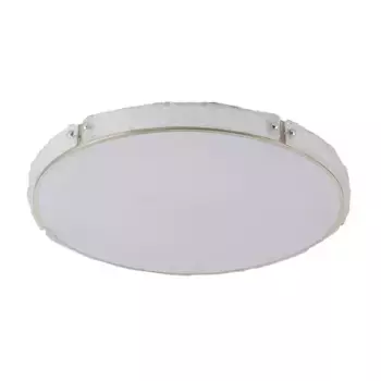 Потолочный светодиодный светильник De Markt Ривз 674017701