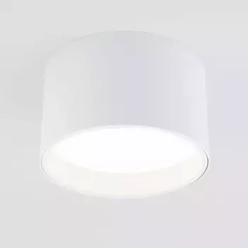 Потолочный светодиодный светильник Elektrostandard 25123/Led Banti 13Вт 4200K a058846