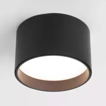 Потолочный светодиодный светильник Elektrostandard 25123/Led Banti 13Вт 4200K a058847