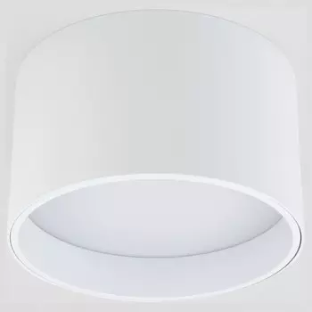 Потолочный светодиодный светильник Elektrostandard 25123/Led Banti 13Вт 4200K a058846