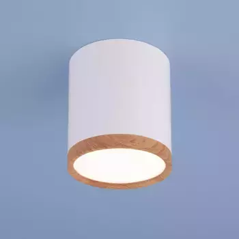 Потолочный светодиодный светильник Elektrostandard DLR024 6W 4200K белый матовый a040548